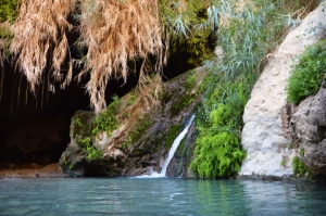 Ein Gedi Nature Reserve an Oasis in a Desert by the Dead Sea