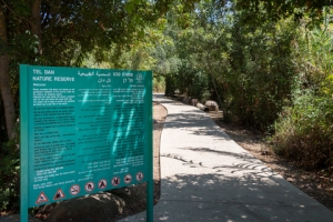 Tel Dan Nature Reserve in Northern Israel